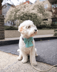 Matcha Sage Green Linen Dog Sailor Bow - SUNNY TAILS