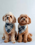 Woodland Plaid Flannel Dog Bandana - SUNNY TAILS