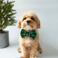 Forest Plaid Flannel Dog Bow Tie