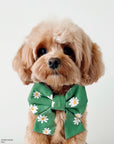 Blooming Daisies Green Dog Sailor Bow - SUNNY TAILS