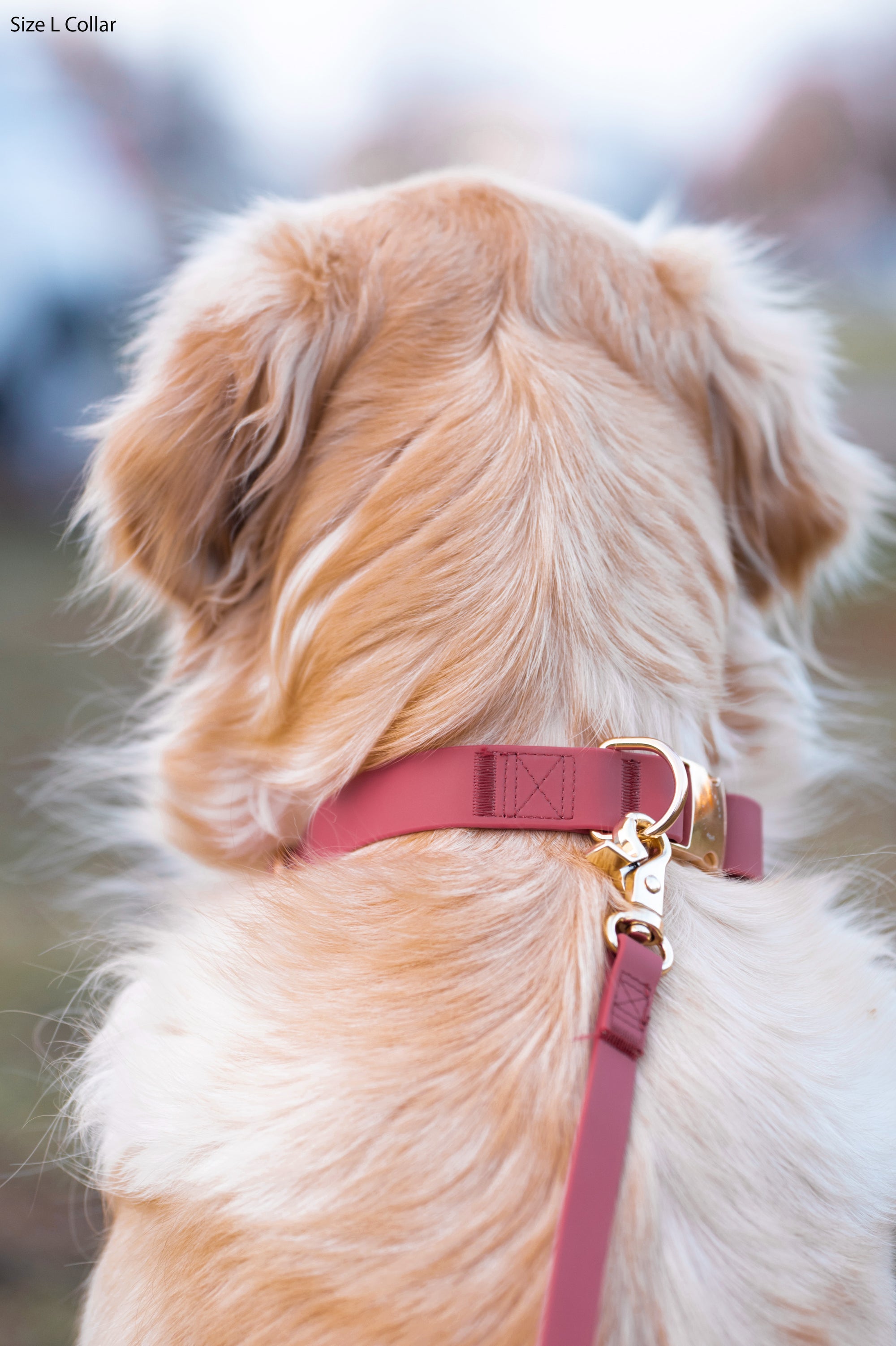 Mulberry Burgundy Waterproof Cloud Dog Leash | Lightweight PVC Leash | Odor Proof, Stink Proof, and Durable | Available in 3 Lengths