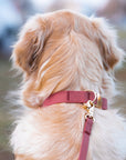 Mulberry Burgundy Waterproof Cloud Dog Leash | Lightweight PVC Leash | Odor Proof, Stink Proof, and Durable | Available in 3 Lengths