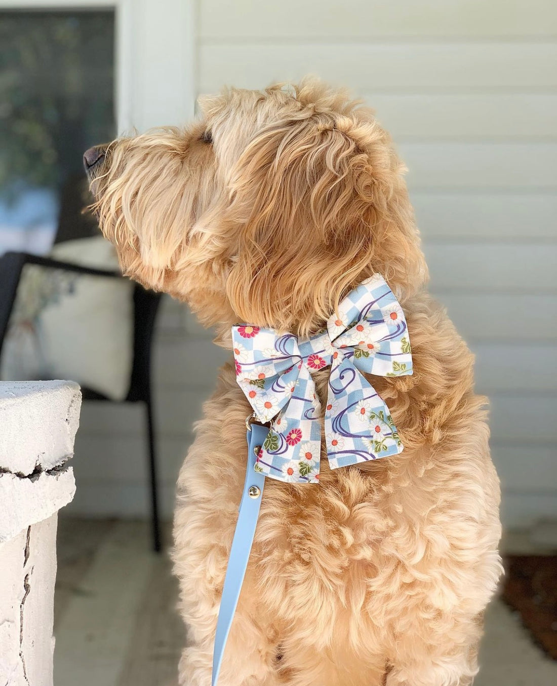 Floral Checkmate Gingham Dog Sailor Bow