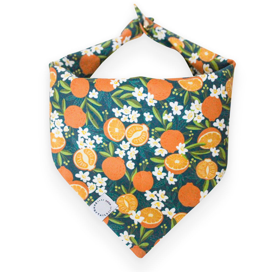 Simply The Zest Oranges Snap On Dog Bandana | Floral Dog Bandana | Shop Sunny Tails