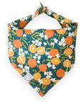 Simply The Zest Oranges Dog Bandana - SUNNY TAILS