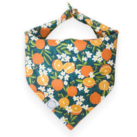 Simply The Zest Oranges Snap On Dog Bandana | Floral Dog Bandana | Shop Sunny Tails