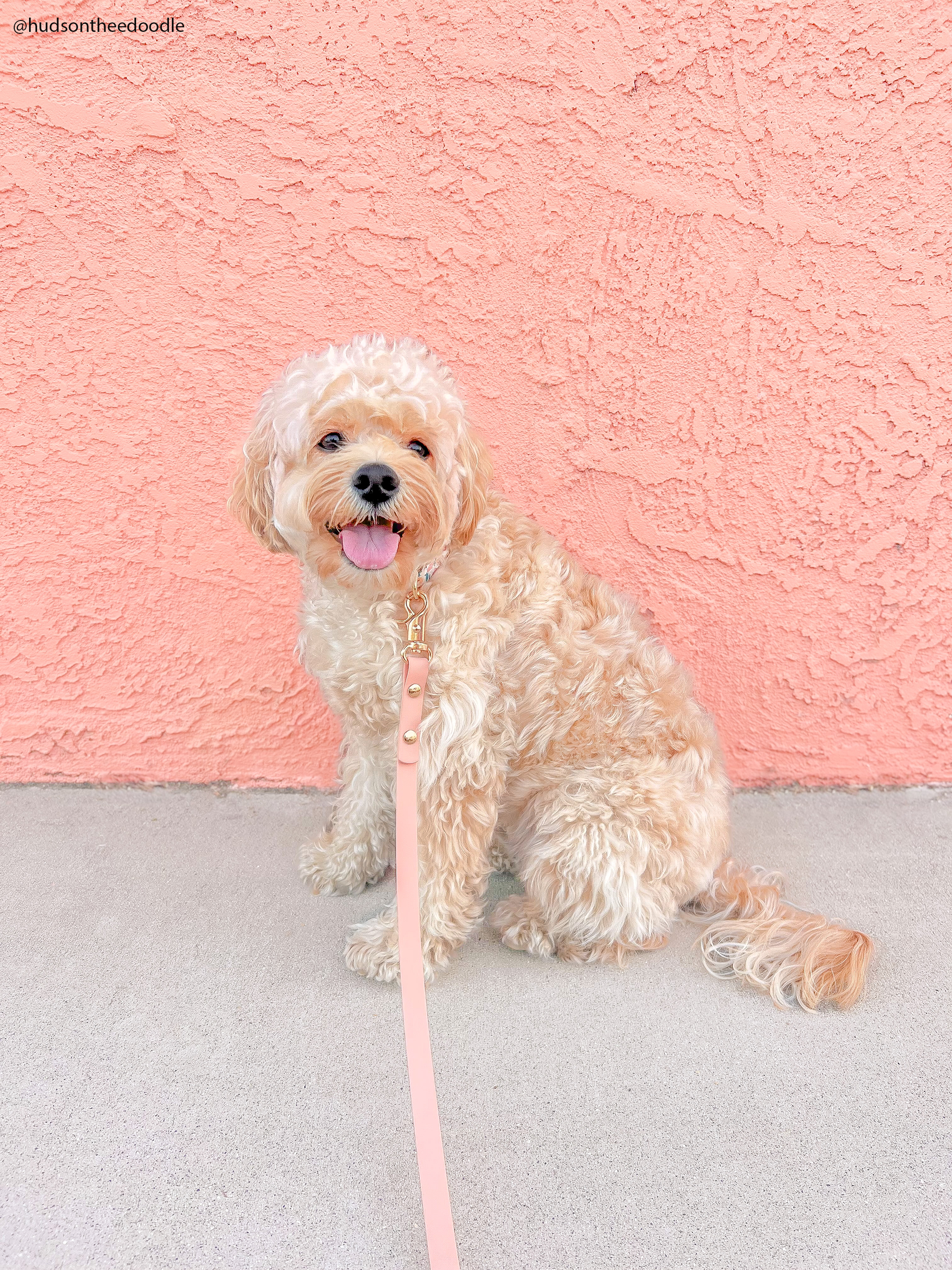 Peach Waterproof Cloud Dog Leash | Lightweight PVC Leash | Odor Proof, Stink Proof, and Durable | Available in 3 Lengths