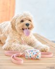 Peach Waterproof Cloud Dog Leash | Lightweight PVC Leash | Odor Proof, Stink Proof, and Durable | Available in 3 Lengths