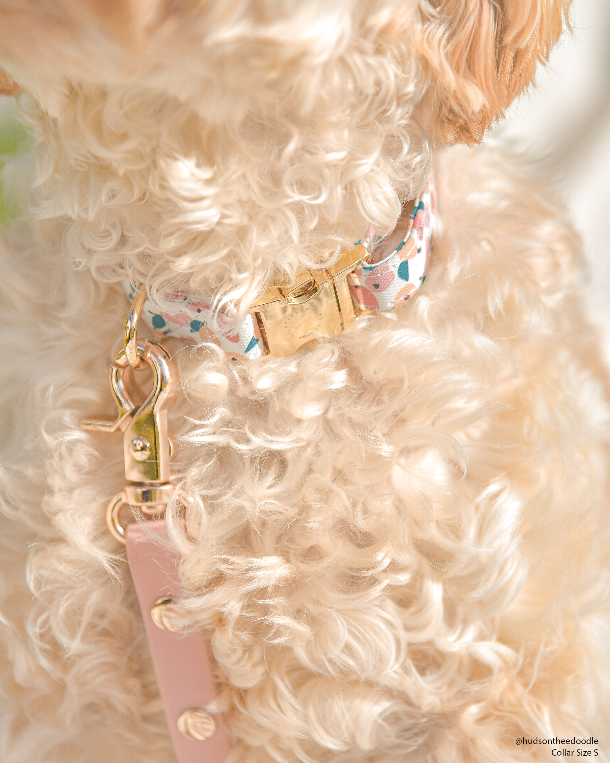 Peach Waterproof Cloud Dog Leash | Lightweight PVC Leash | Odor Proof, Stink Proof, and Durable | Available in 3 Lengths