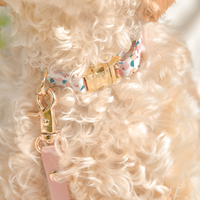 Peaches & Pears Dog Collar | Fruit Dog Collar | Available in 3 Sizes | Durable Dog Collars