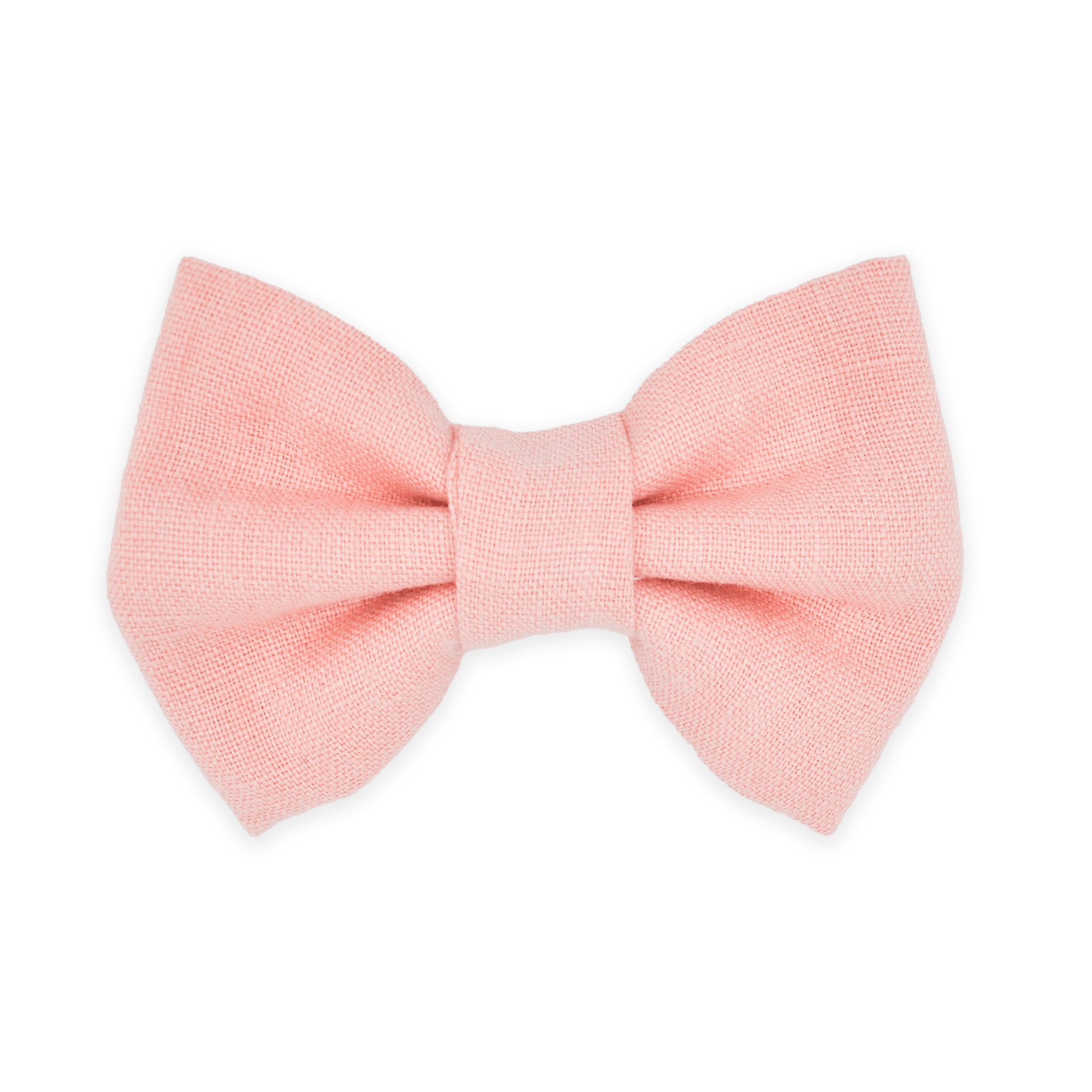 pink dog bowtie