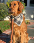 Woodland Plaid Flannel Dog Bandana - SUNNY TAILS
