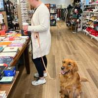 Chai Brown Wide 4-in-1 Convertible Hands Free Cloud Dog Leash