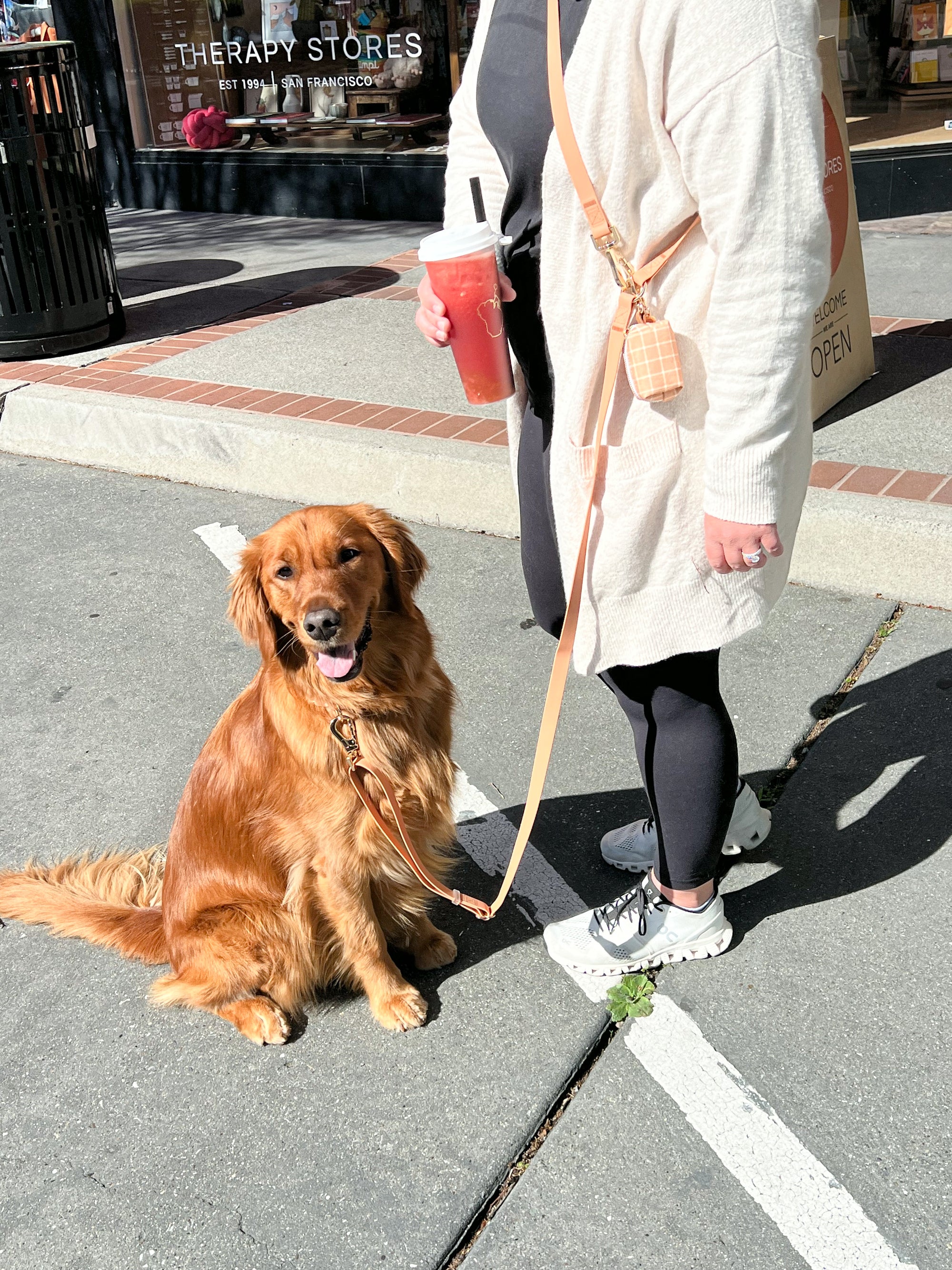 Chai Brown Convertible Hands Free Cloud Dog Leash | Multifunctional, Waterproof, and Lightweight Dog Leash | Shop Sunny Tails