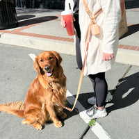 Chai Brown Convertible Hands Free Cloud Dog Leash | Multifunctional, Waterproof, and Lightweight Dog Leash | Shop Sunny Tails