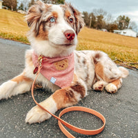 Chai Brown Waterproof Cloud Dog Leash - SUNNY TAILS