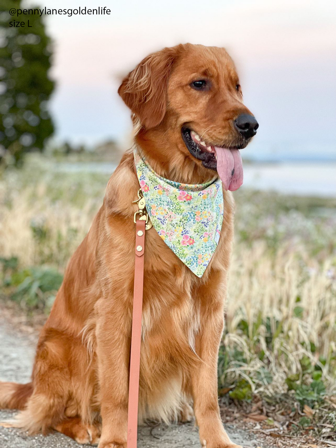Flower Fields Dog Bandana