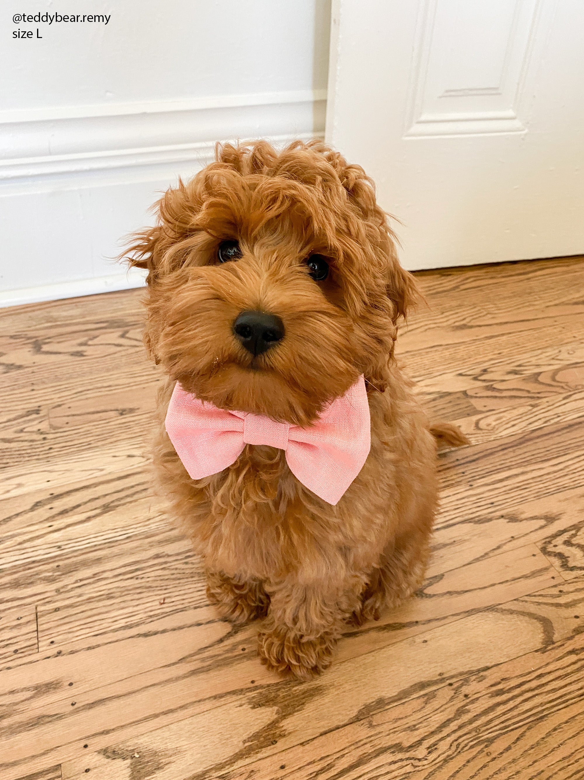 Peach Pink Linen Dog Bow Tie | Snap Over Collar Dog Bow Tie | Shop Sunny Tails