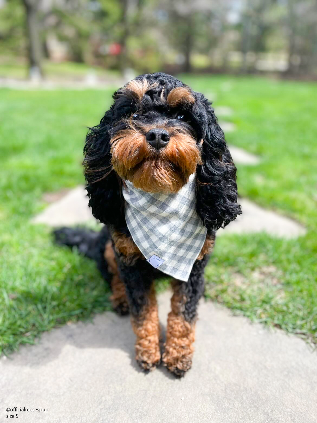 Gray Gingham Everyday Dog Bandana | Shop Sunny Tails