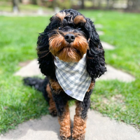 Gray Gingham Everyday Dog Bandana | Shop Sunny Tails