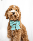 Matcha Sage Green Linen Dog Sailor Bow - SUNNY TAILS