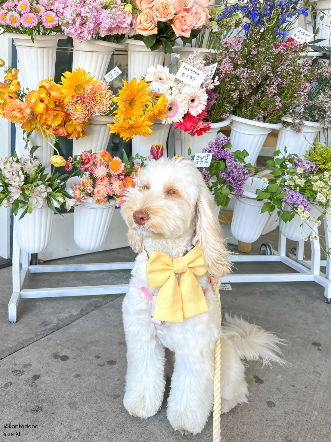 Yuzu Yellow Linen Dog Sailor Bow
