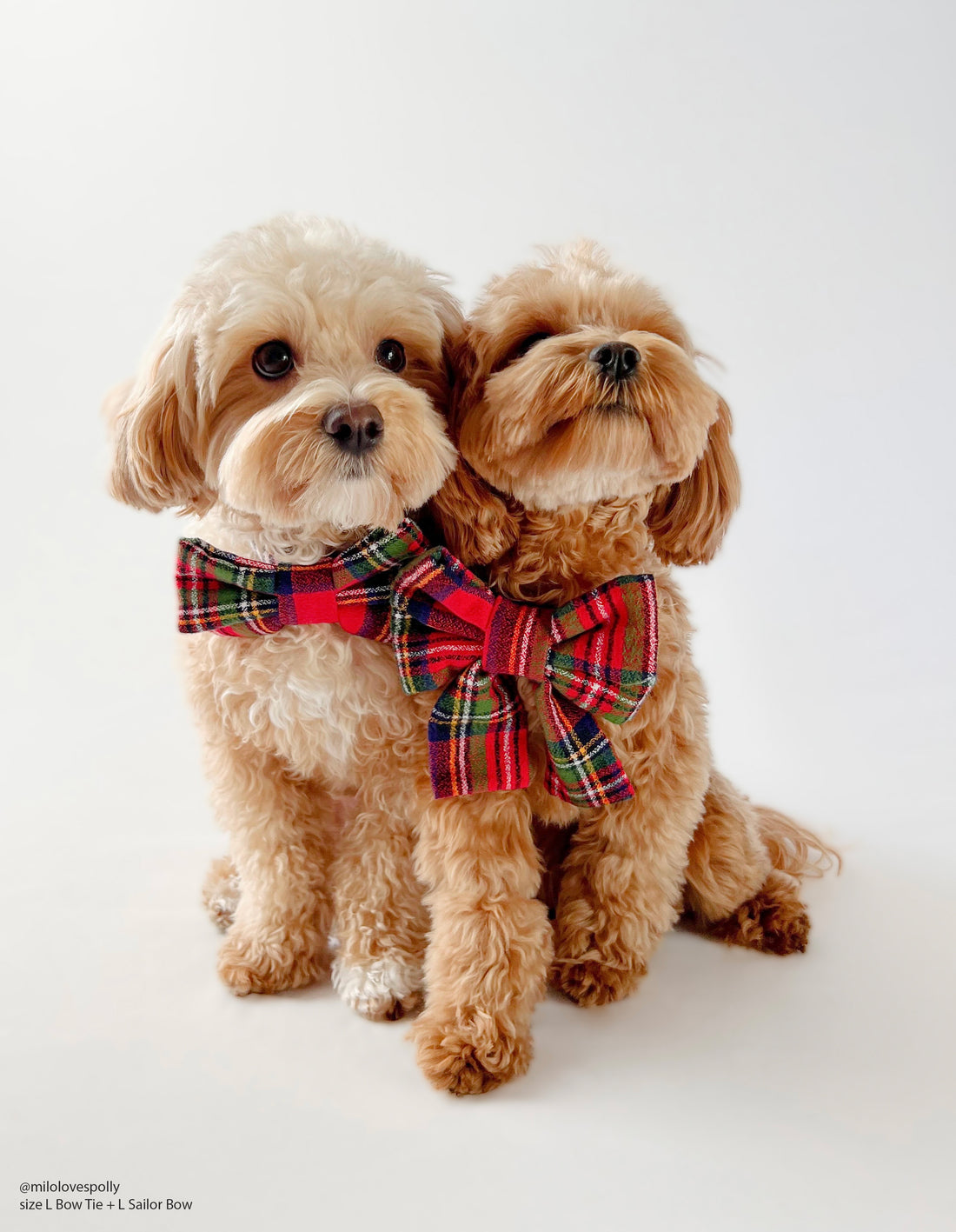 Christmas Plaid Flannel Dog Sailor Bow