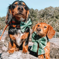 Forest Plaid Flannel Dog Sailor Bow