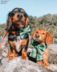 Forest Plaid Flannel Dog Bow Tie - SUNNY TAILS