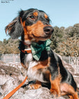 Forest Plaid Flannel Dog Bow Tie