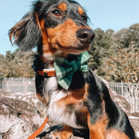 Forest Plaid Flannel Dog Bow Tie