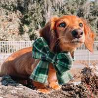 Forest Plaid Flannel Dog Sailor Bow