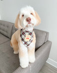 Holly Jolly Plaid Teddy Dog Bandana - SUNNY TAILS