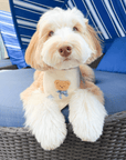 Picnic Teddy Ivory Linen Dog Bandana (Customizable) - SUNNY TAILS