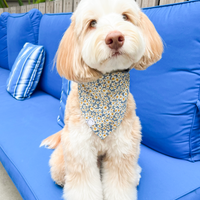 Daisies Field Dog Bandana | Floral Dog Bandana | Shop Sunny Tails