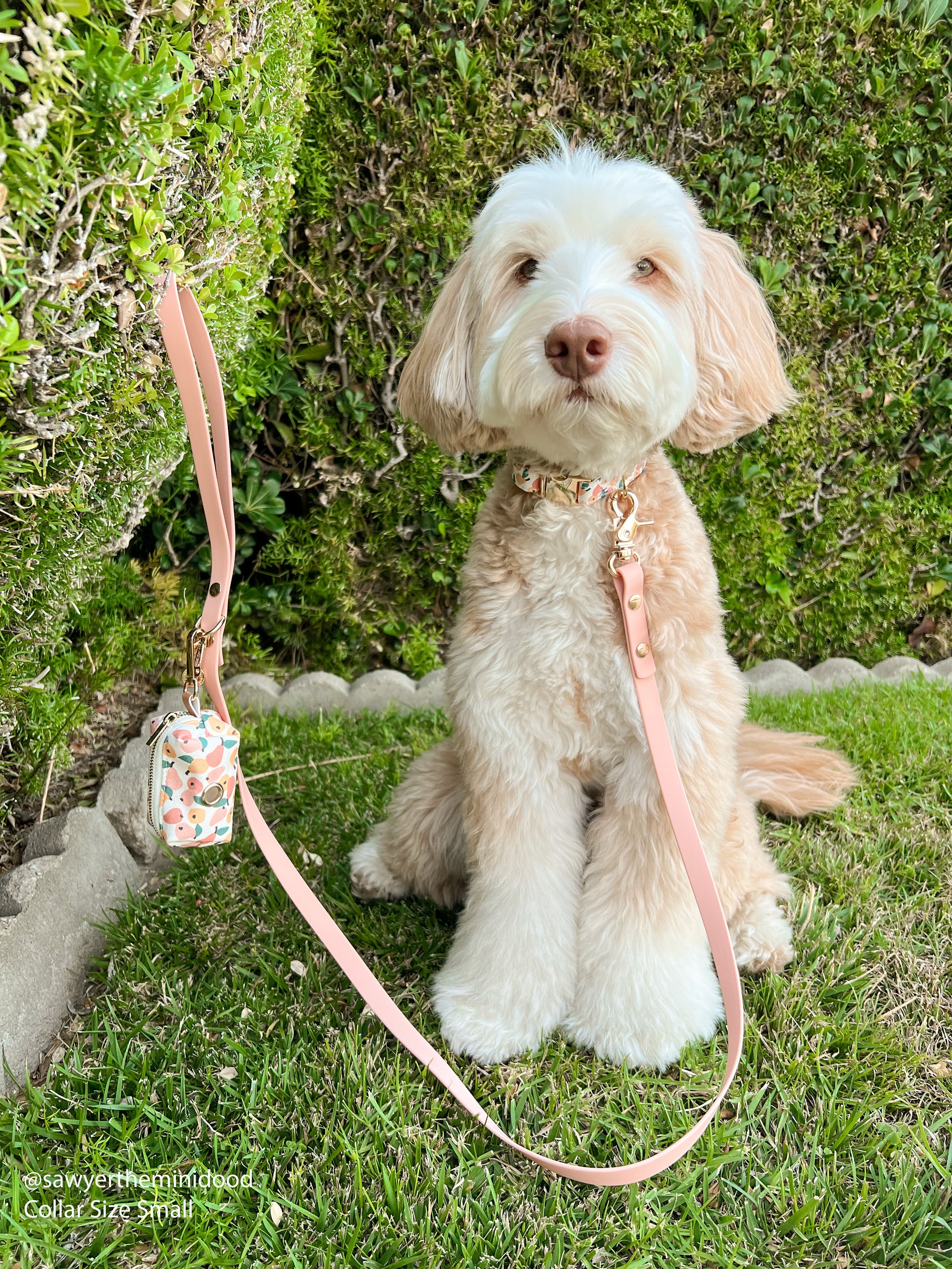 Peach Waterproof Cloud Dog Leash | Lightweight PVC Leash | Odor Proof, Stink Proof, and Durable | Available in 3 Lengths