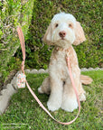 Peach Waterproof Cloud Dog Leash - SUNNY TAILS