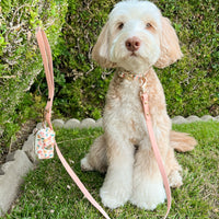 Peaches & Pears Dog Collar | Fruit Dog Collar | Available in 3 Sizes | Durable Dog Collars