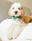 Matcha Sage Green Linen Dog Bow Tie - SUNNY TAILS
