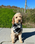 Black and White Flannel Frayed Dog Bandana - SUNNY TAILS