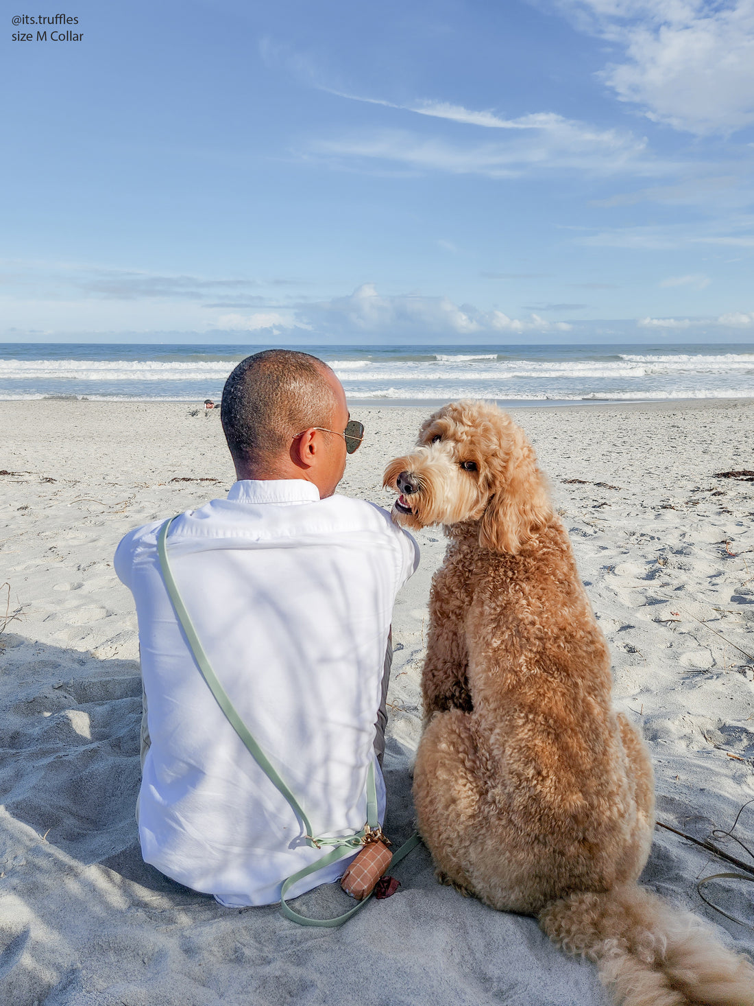 Pistachio Green Convertible Hands Free Cloud Dog Leash | Multifunctional, Waterproof, and Lightweight Dog Leash | Shop Sunny Tails