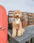 Picnic Teddy Ivory Linen Dog Bandana (Customizable) - SUNNY TAILS