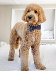 Navy Blue Windowpane Linen Dog Bow Tie