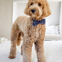 Navy Blue Windowpane Linen Dog Bow Tie