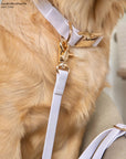 Lavender Haze Waterproof Dog Collar | Available in 3 Sizes | Durable Dog Collars | Shop Sunny Tails