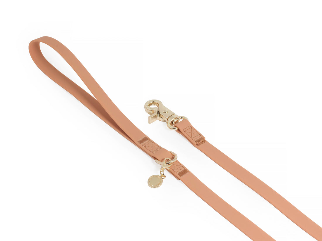 Chai Brown Waterproof Cloud 30 Ft Dog Leash | Lightweight PVC Long Leash | Odor Proof, Stink Proof, and Durable Dog Lead | Available in 3 Lengths