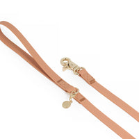 Chai Brown Waterproof Cloud 30 Ft Dog Leash | Lightweight PVC Long Leash | Odor Proof, Stink Proof, and Durable Dog Lead | Available in 3 Lengths