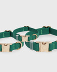 Meadow Green Waterproof Dog Collar | Dark Green Quick Release Collar | Available in 3 Sizes | Durable Dog Collars | Shop Sunny Tails