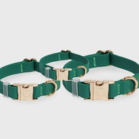 Meadow Green Waterproof Dog Collar | Dark Green Quick Release Collar | Available in 3 Sizes | Durable Dog Collars | Shop Sunny Tails