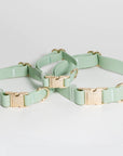 Pistachio Green Waterproof Dog Collar | Sage Green Dog Collar | Available in 3 Sizes | Durable Dog Collars | Shop Sunny Tails